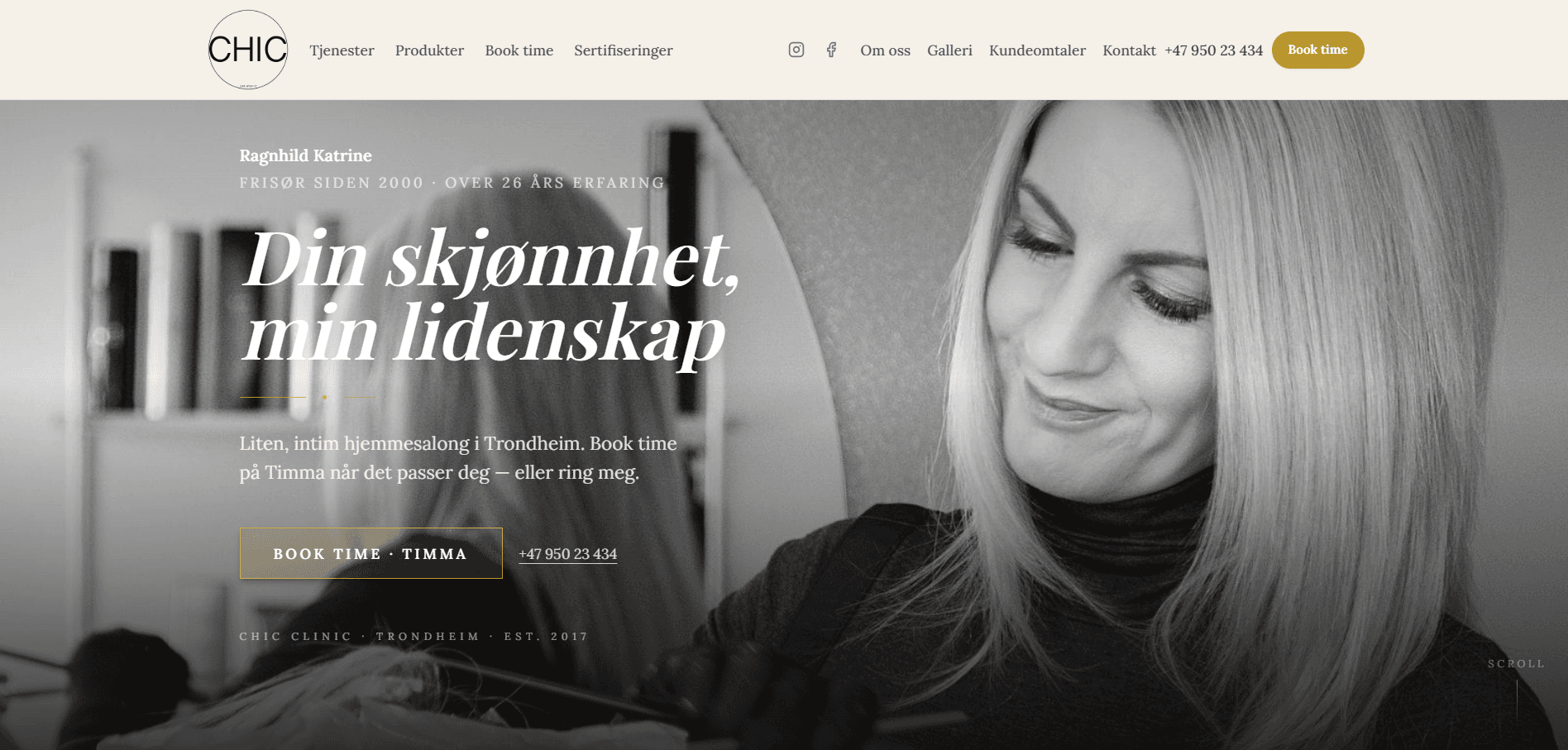 Forhåndsvisning av Chic Clinic-nettside